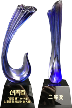 2017年获得上海青年 创新创业大赛二等奖